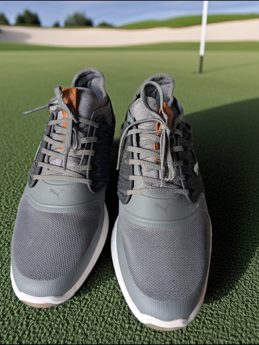 PUMA Ignite PWRADAPT Caged Men’s Golf Shoes – Gray/Black – Size 10